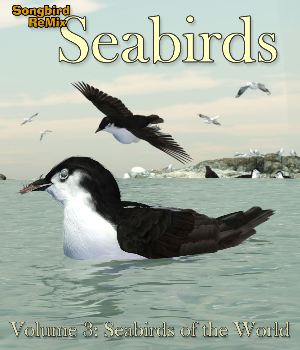 Songbird ReMix Seabirds Volume 3