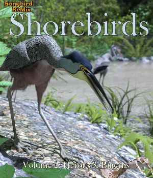 Songbird ReMix Shorebirds Volume 2: Herons and Bitterns