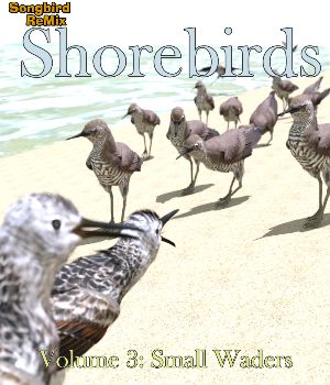 Shorebirds Volume 3: Small Waders