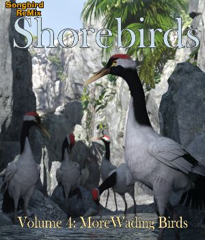 Songbird ReMix Shorebirds v4: More Wading Birds